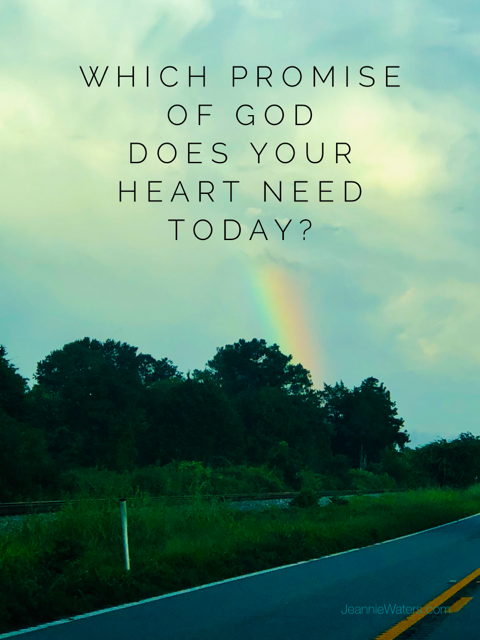 Which Promise of God Does Your Heart Need Today?