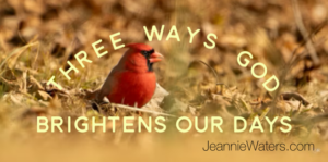 Three Ways God Brightens Our Days by Jeannie Waters